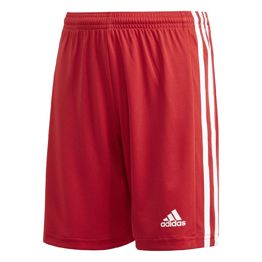 Short Squadra 21 junior Adidas | GN5761X